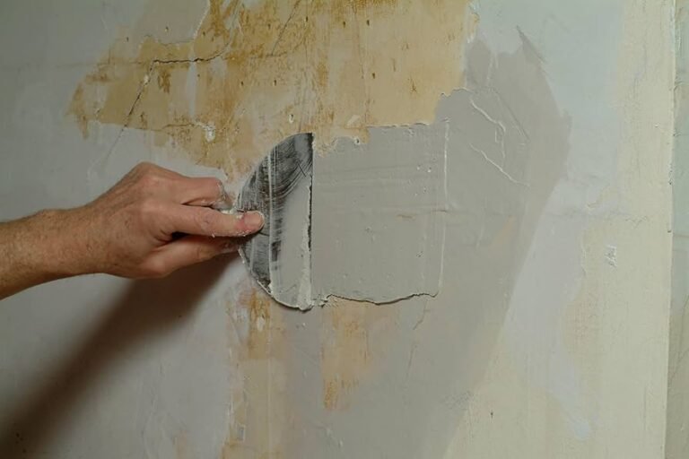 71l1O6-ABwL._AC_UF894,1000_QL80_